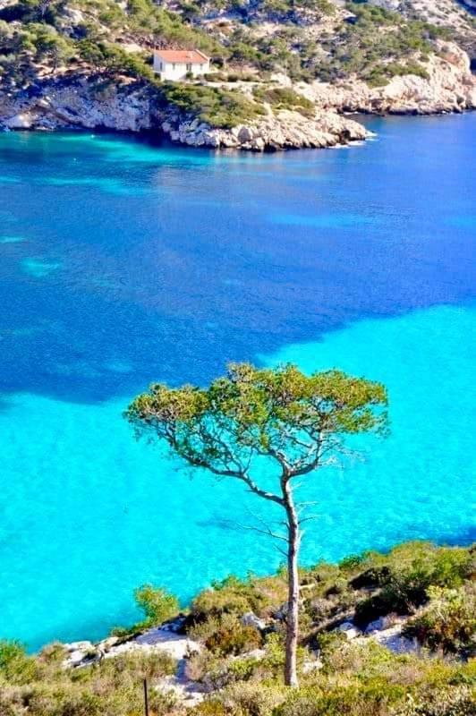 Mon petit Paradis, Cassis centre Apt 90 m2, 200 m Mer, terr plein sud, clim park privé Exterior foto